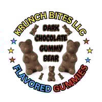DARK CHOCOLATE COVERED GUMMY BEARS (10oz)