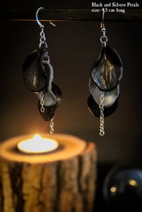 Image 3 of The Geometry of Nature