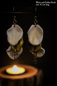 Image 4 of The Geometry of Nature