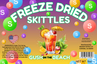 FREEZE DRIED GUSH ON THE BEACH SKITTLES