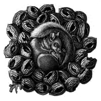 Image 1 of "Una noce" - "One walnut"