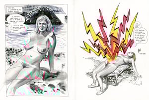 Image of SUMMER MUSE 3 with ORIGINAL COLOR DRAWING inside