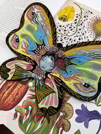 Image 3 of Viola original on wood