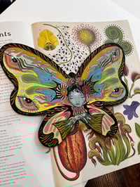 Image 1 of Viola original on wood