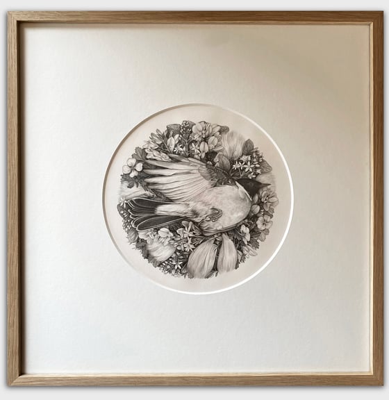 Image of In the Cottongrass