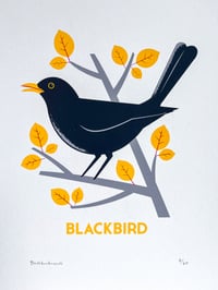 Image 3 of Blackbird