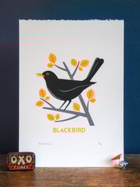 Image 1 of Blackbird