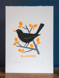 Image 2 of Blackbird