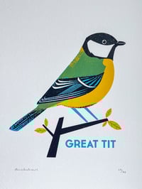 Image 3 of Great Tit