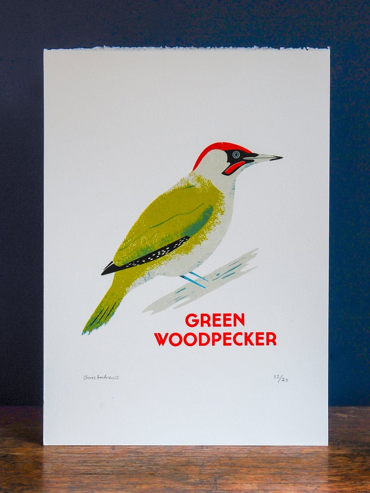 Image of Green Woodpecker