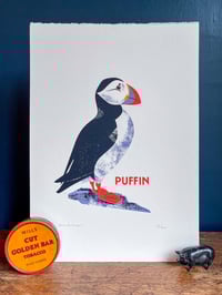 Image 1 of Puffin