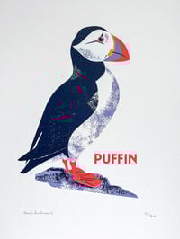 Image 3 of Puffin