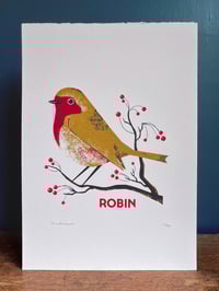Image 2 of Robin