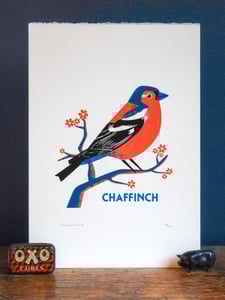 Image of Chaffinch