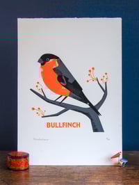 Image 1 of Bullfinch