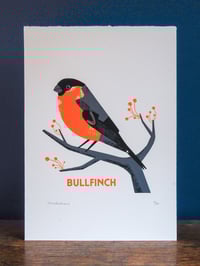 Image 2 of Bullfinch