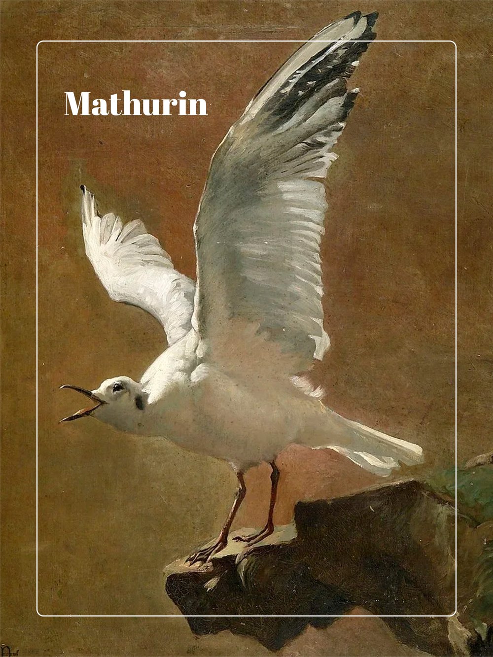 Image of Mathurin