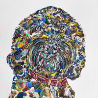 Image 2 of Cockapoo - Original Artwork