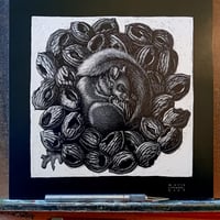 Image 2 of "Una noce" - "One walnut"