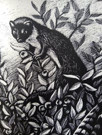 Image 2 of Donnola e Poiana -  Buzzard and Weasel 