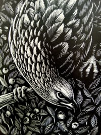 Image 3 of Donnola e Poiana -  Buzzard and Weasel 