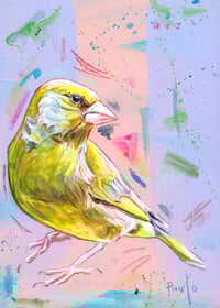 Greenfinch A4 or A5 print