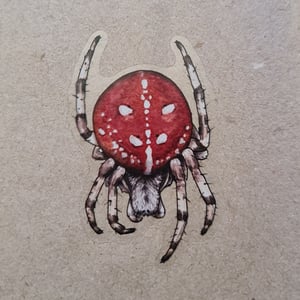 Araneus quadratus Sticker - translucent background