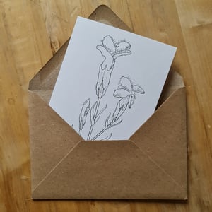 Coloring card - Fringed gentian