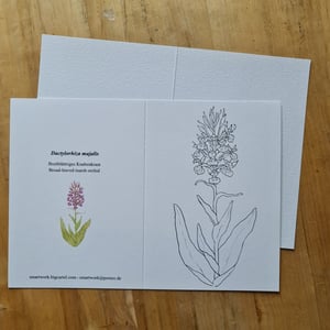 Coloring card - Broad-leaved marsh orchid