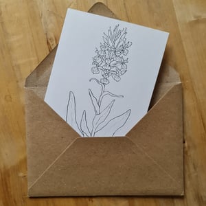 Coloring card - Broad-leaved marsh orchid