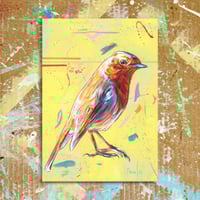 Red Robin fine art print- At A4 and A5