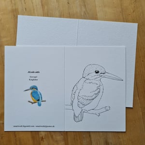 Coloring card - Kingfisher
