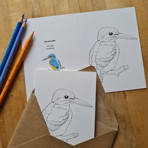 Coloring card - Kingfisher