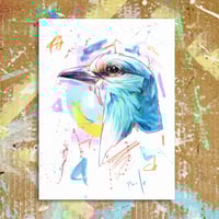 Image 1 of European roller fine art print- At A4 and A5