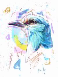 Image 2 of European roller fine art print- At A4 and A5