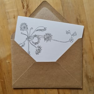 Coloring card - Round-leaved sundew