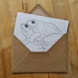 Coloring card - Moor frog