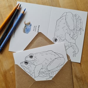 Coloring card - Moor frog