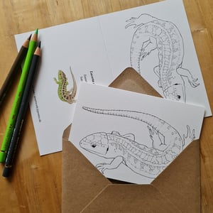 Coloring card - Sand lizard