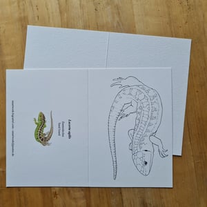 Coloring card - Sand lizard