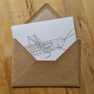 Coloring card - Marsh grasshopper