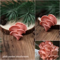 Image 5 of Mushroom necklace - pinks