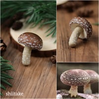 Image 9 of Mushroom necklace - browns