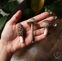 Image 3 of Mushroom necklace - browns