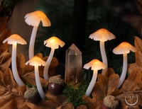 Image 3 of Glowing Fungi oak wreath