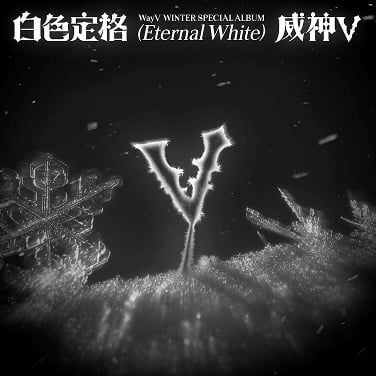 Image of [PRE-ORDER] WayV Winter Special Album 白色定格 - Eternal White (Photobook Ver.)