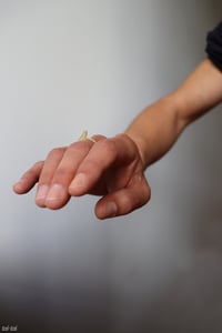 Image 4 of Bague "L'oiseau"