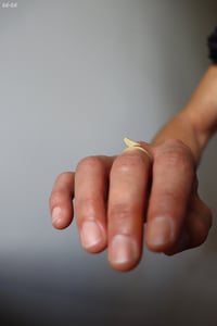 Image 6 of Bague "L'oiseau"