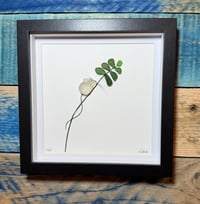 North Devon Seaglass mouse