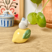 Image 4 of mini canard sur le citron